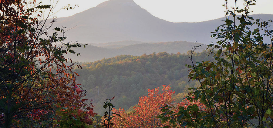 Autumn in the Chattahoochee National Forest