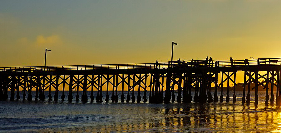 Pier Fishing on the Coast